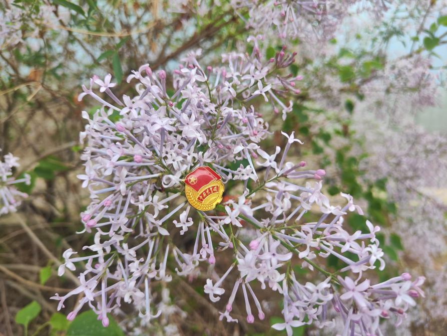 微信圖片_20250429164840